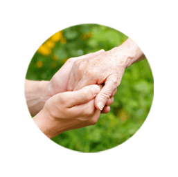 Our Vision and Mission